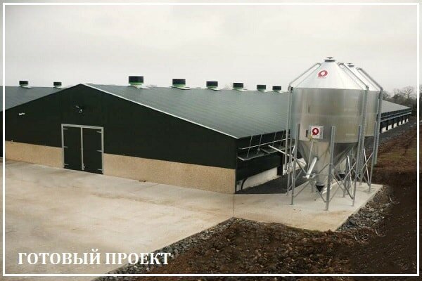 Этапы возведения птицефабрики от завода ВелесТент-рбц